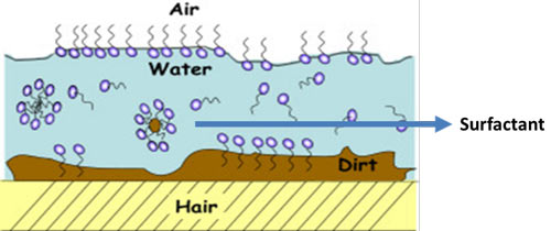Hair cleaning image